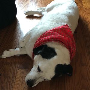 Meet your Posher, Steve